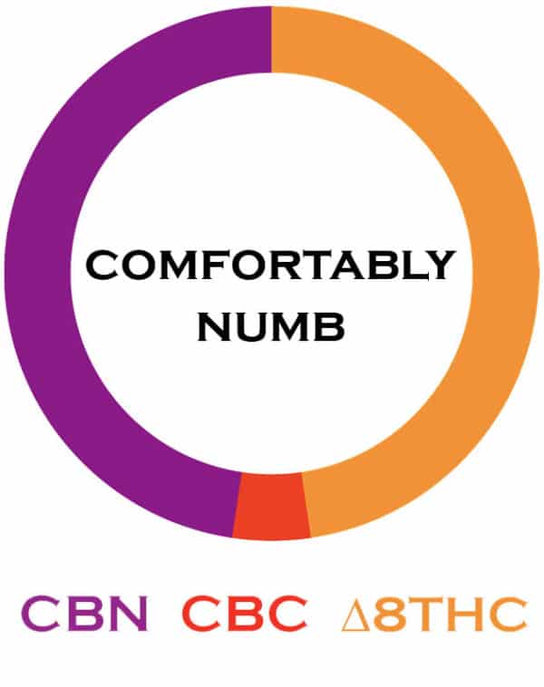 3 Chi Comfortably Numb Delta 8/CBN Tincture